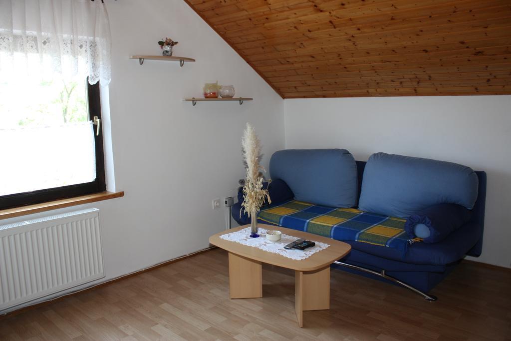 Apartment Jelena Selište Drežničko Habitación foto