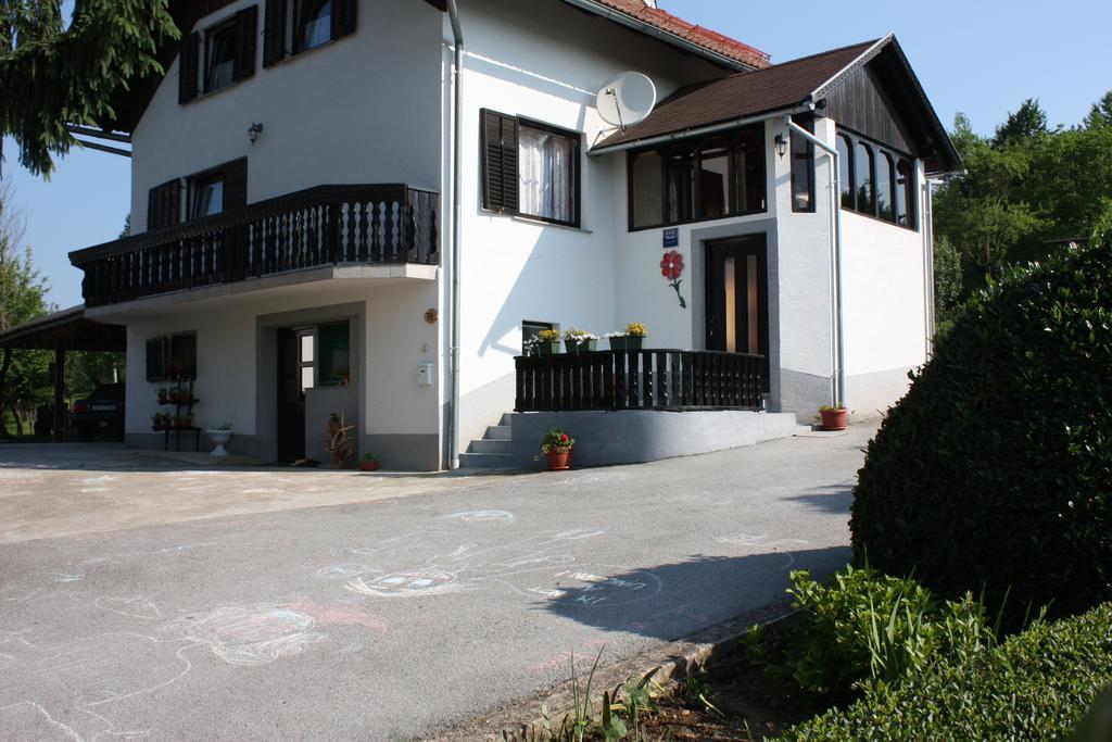 Apartment Jelena Selište Drežničko Habitación foto