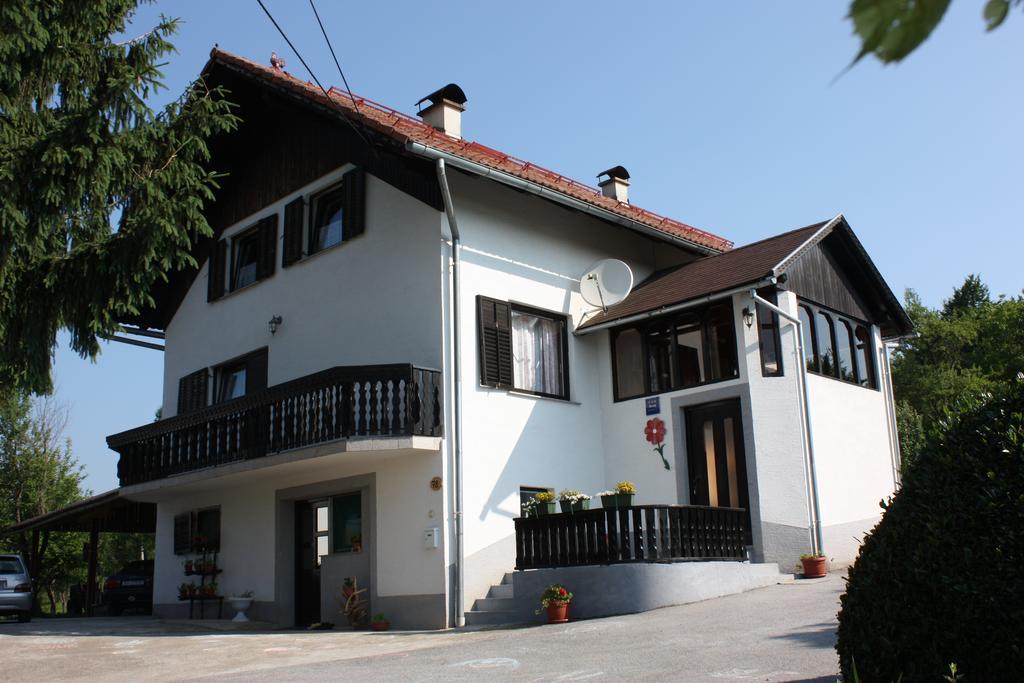 Apartment Jelena Selište Drežničko Habitación foto