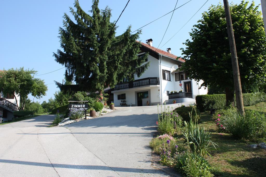 Apartment Jelena Selište Drežničko Habitación foto